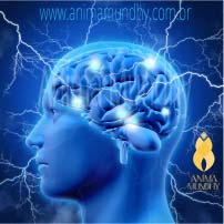 cubo-acelerador-quantico-1