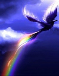 rejuvenescimento-imortalidade-afirmacao-1