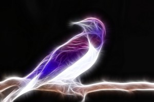 fractal_bird_by_tharena-d58n8sy