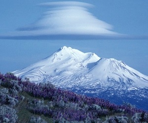 Monte Shasta