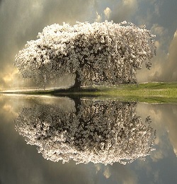 amor-verdadeiro-osho-01