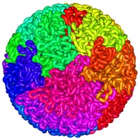 genoma-humano-3d-video-2