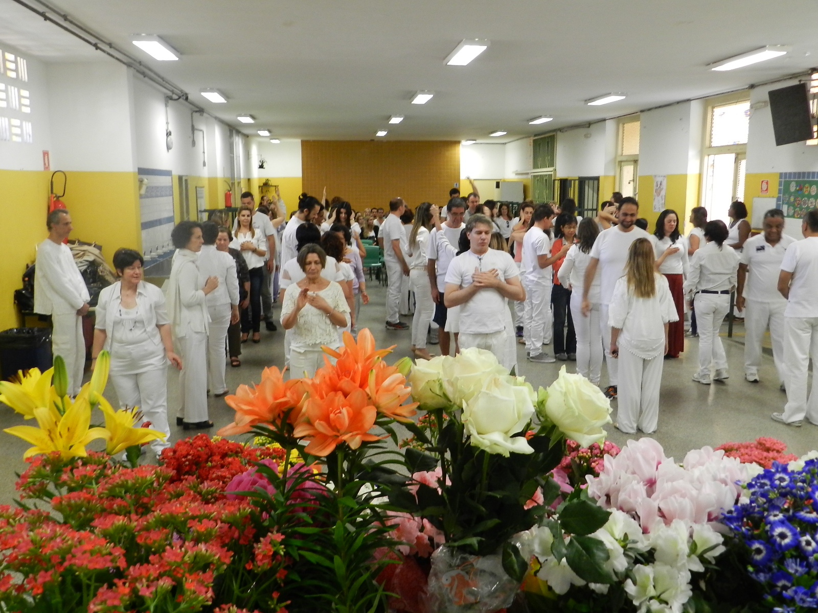 magnified-healing-1008