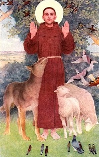 sao-francisco-de-assis-02