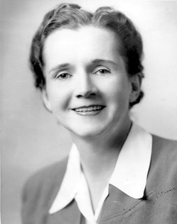 ecologia-sustentabilidade-rachel-carson-4