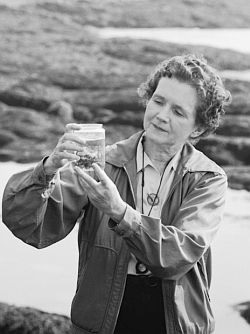 ecologia-sustentabilidade-rachel-carson-5