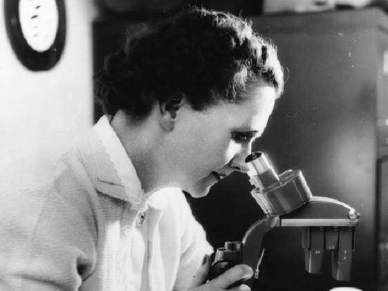 ecologia-sustentabilidade-rachel-carson-6