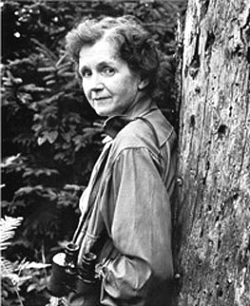 ecologia-sustentabilidade-rachel-carson