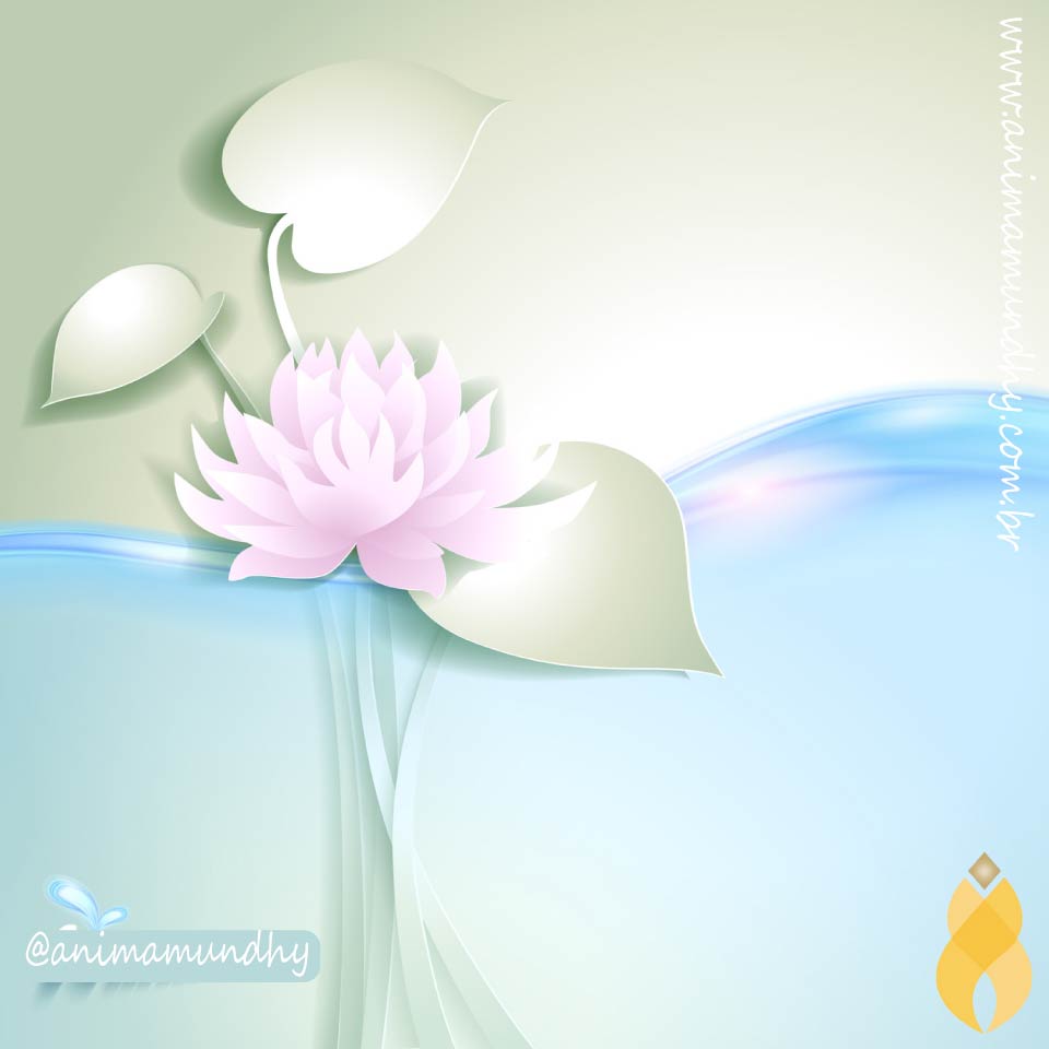 O atributo alt desta imagem está vazio. O nome do arquivo é lotus.-1.jpg