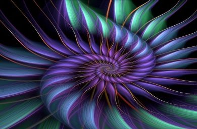 reiki-1.jpg
