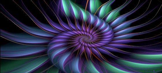 reiki-1.jpg