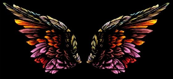 asas-de-anjo.jpg