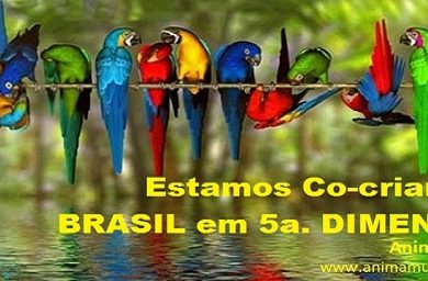 brasil-5a.-dimensao-vibracoes.jpg
