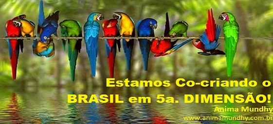 brasil-5a.-dimensao-vibracoes.jpg