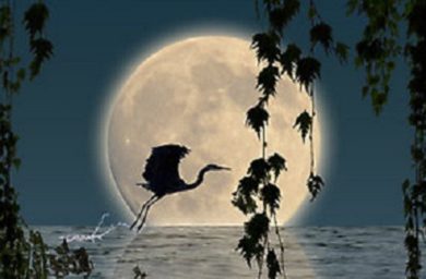 lua-lunar-escorpiao-13.jpg