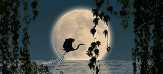 lua-lunar-escorpiao-13.jpg