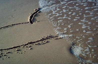 coracoes-em-alta-imagens-que-falam_by_nauticalstar1.jpg