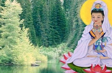 kuan-yin-cancao-1.jpg