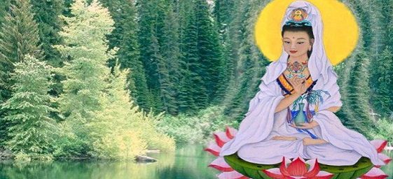 kuan-yin-cancao-1.jpg