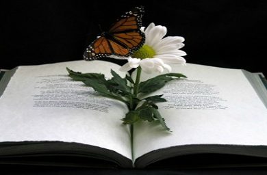 livro-curso-milagres-grupo-estudos_by_limnersphere.jpg
