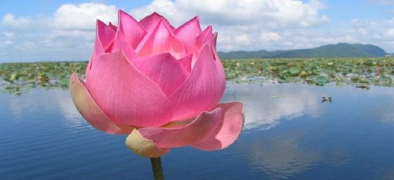 saude-perfeita-afirmacoes-positivas.jpg