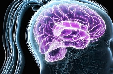 calcificacao-glandula-pineal-canalizacao.jpg