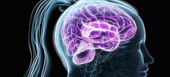 calcificacao-glandula-pineal-canalizacao.jpg