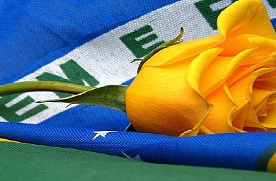 rowena-copa-espiritual.jpg
