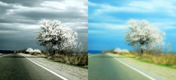 reality_vs_dream.jpg