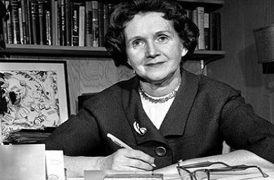 ecologia-sustentabilidade-rachel-carson-81.jpg