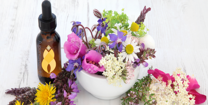 FLORAL-ATENDIMENTO