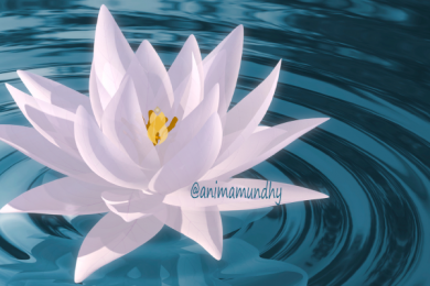 magnified-healing-kuan-yin-15