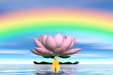 magnified-healing-CURSO-1