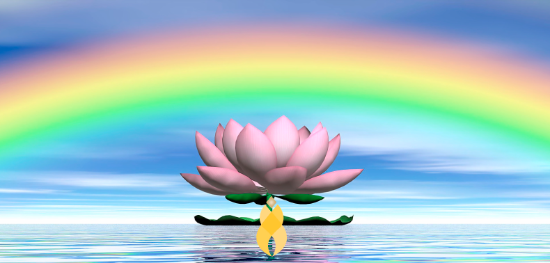 magnified-healing-CURSO-1