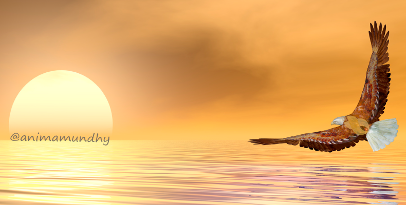 portal-ativacao-galactica-45