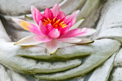 rosario-kuan-yin