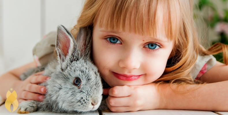 cruelty-free